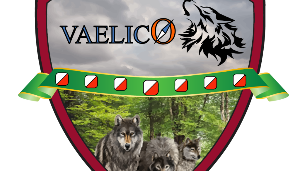 Escudo Vaelico_web